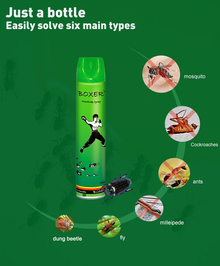 Boxer-Insecticide-Aerosol-(1)
