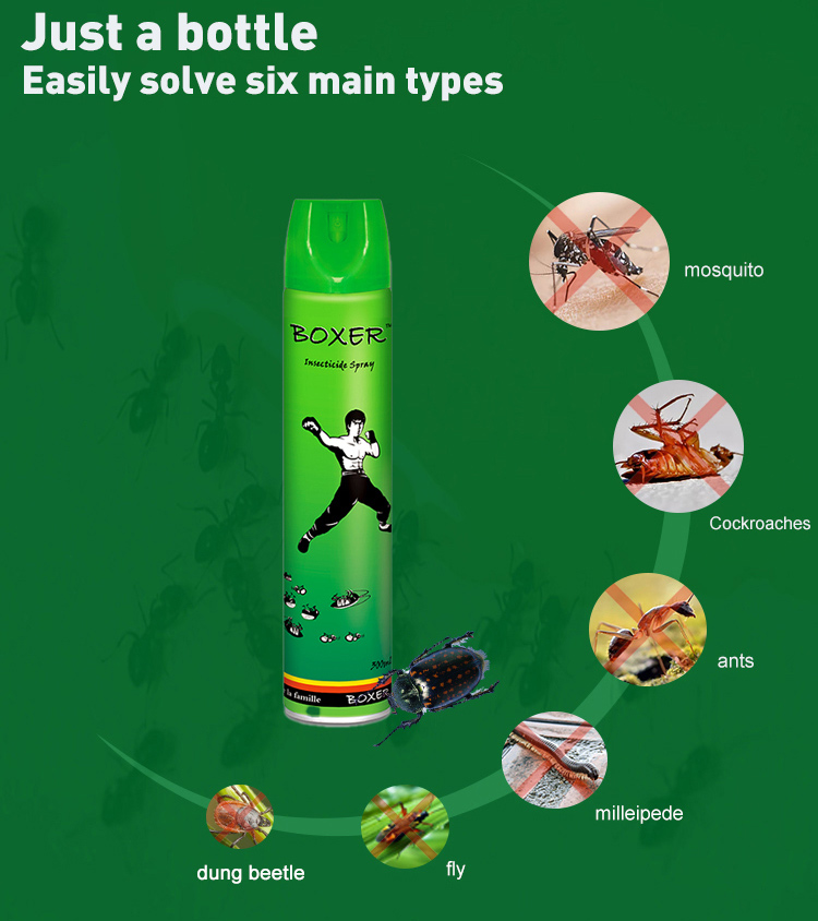 Boxer-Insecticide-Aerosol-(1)